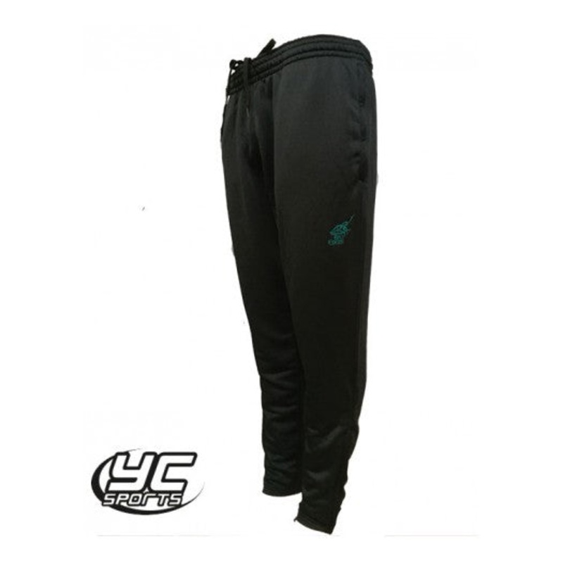 Ysgol Gyfun Gymraeg Bro Edern Toledo Pant