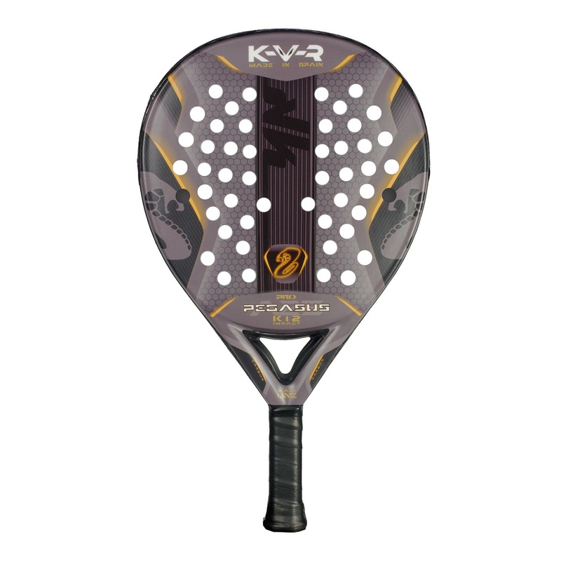 AKKERON BLACK PEGASUS PRO