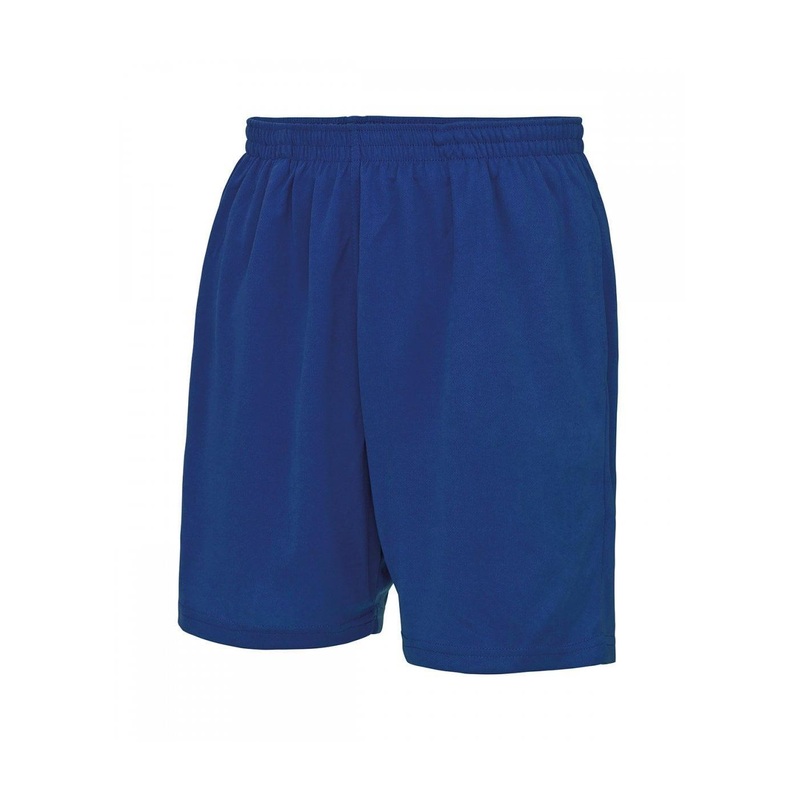 AWDis Cool Mesh Lined Mens Swimming Shorts – Royal Blue
